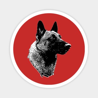 Belgian Malinois Magnet